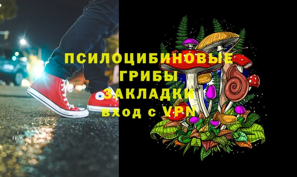 спиды Абаза