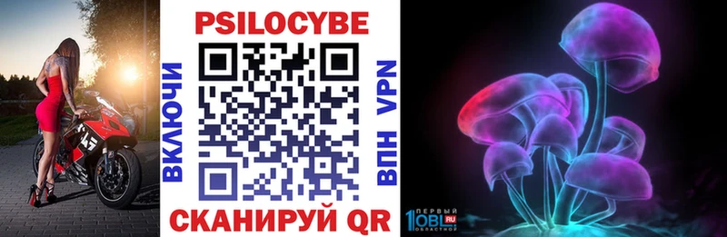 Псилоцибиновые грибы Psilocybe  mega как зайти  Дмитровск 